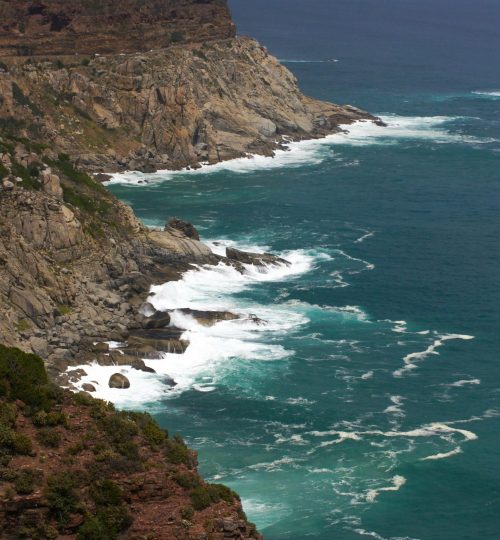 Cape Point Tour (3)