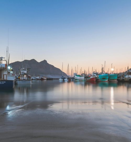 Cape Point Tour (5)