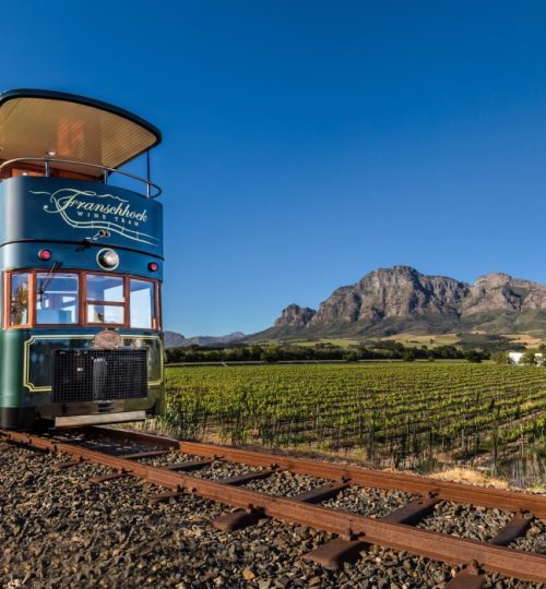 Franshoek Wine Tour (2)