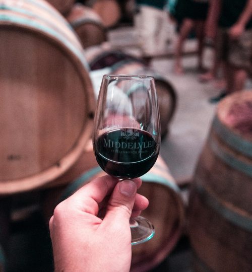 stellenbosch win tour (1)